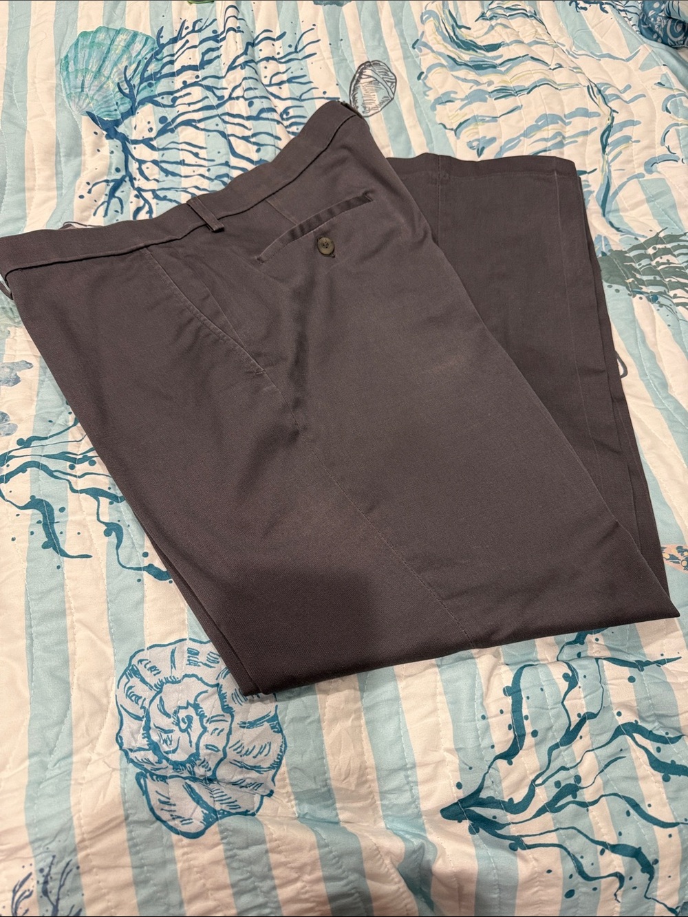 Haggar Men's Dress Pants in Charcoal